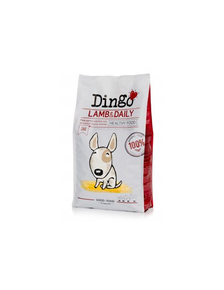 Dingo Lamb & Daily DMM à fin mai 2026