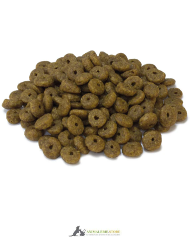 Croquettes arquivet super premium dinde fraîche pour chatons 2–12 mois 1,5 kg