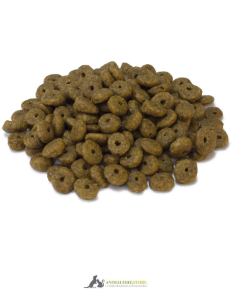 Croquettes arquivet super premium dinde fraîche pour chatons 2–12 mois 1,5 kg