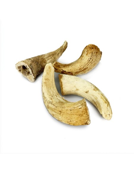 Moelle de Corne d’Agneau pour Chiens – Friandise Naturelle, Longue Mastication & Faible en Graisses