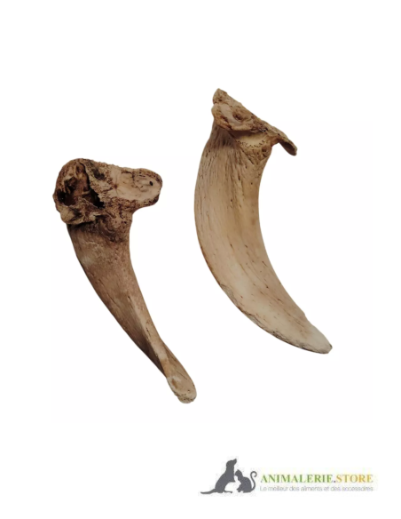 Moelle de Corne d’Agneau pour Chiens – Friandise Naturelle, Longue Mastication & Faible en Graisses