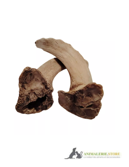 Moelle de Corne d’Agneau pour Chiens – Friandise Naturelle, Longue Mastication & Faible en Graisses