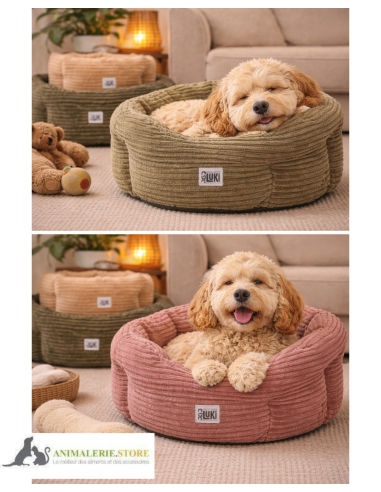 Panier rond antidérapant en velours pour chien et chat – Mon Ami Luki 🐾