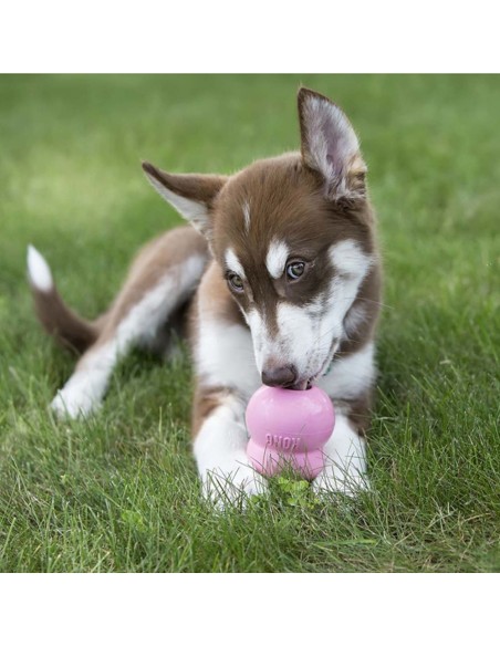 Easy Treat™ Puppy KONG pour chiot