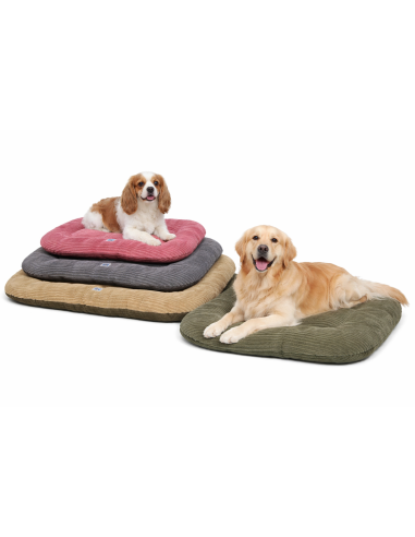 🐾 Mon Ami Luki – Coussin ovale antidérapant en velours côtelé pour chien