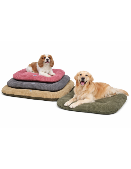 🐾 Mon Ami Luki – Coussin ovale antidérapant en velours côtelé pour chien