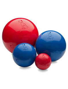 Boomer Ball pour chien