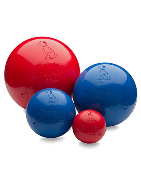 Boomer Ball pour chien