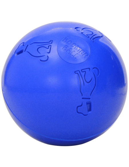 Boomer Ball pour chien