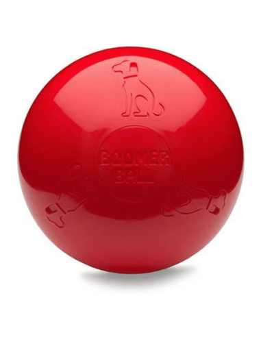 Boomer Ball pour chien