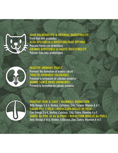 Original ArquiVet Nourriture chaton poulet & riz 🐱 – Aliment complet premium naturel