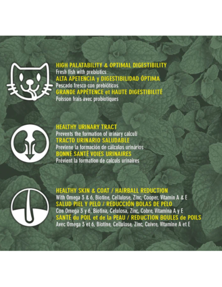 Original ArquiVet Nourriture chaton poulet & riz 🐱 – Aliment complet premium naturel