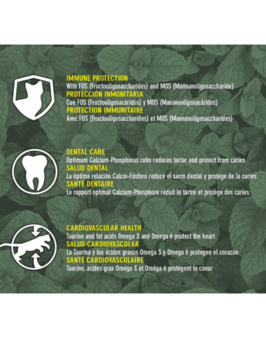 Original ArquiVet Nourriture chaton poulet & riz 🐱 – Aliment complet premium naturel