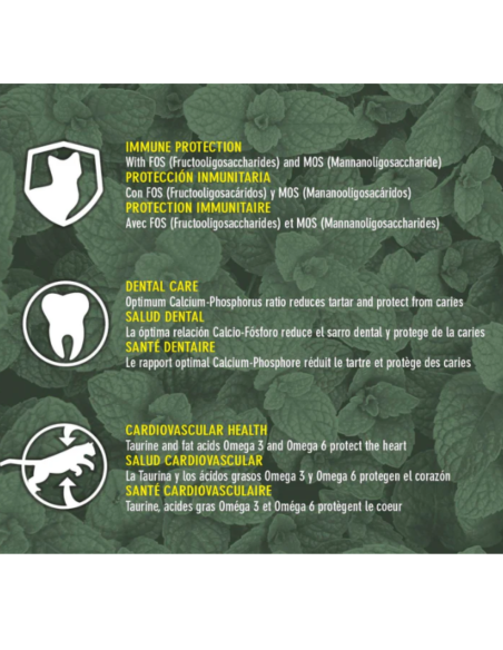 Original ArquiVet Nourriture chaton poulet & riz 🐱 – Aliment complet premium naturel