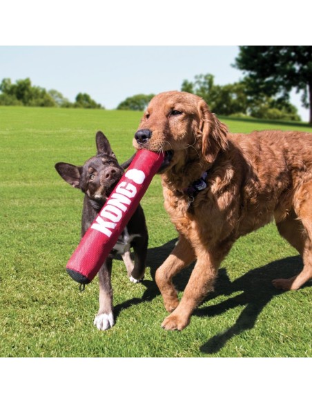 Signature Stick KONG