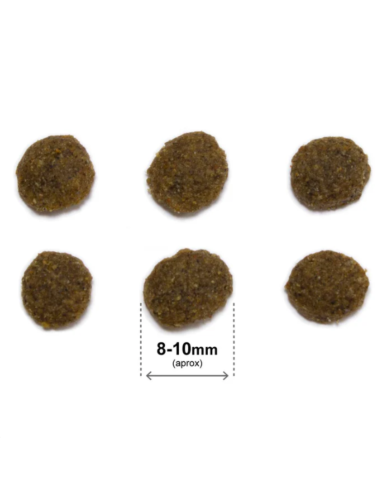 rquiVet Nourriture chat stérilisé saumon & riz 🐱 | Aliment complet premium naturel 1,5 kg & 7 kg