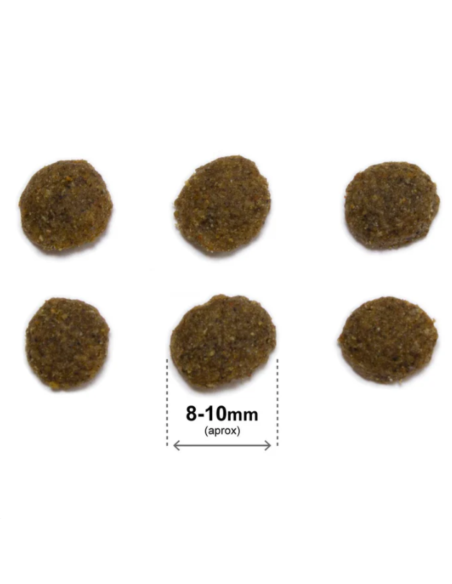 rquiVet Nourriture chat stérilisé saumon & riz 🐱 | Aliment complet premium naturel 1,5 kg & 7 kg