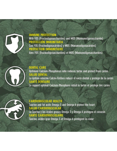 rquiVet Nourriture chat stérilisé saumon & riz 🐱 | Aliment complet premium naturel 1,5 kg & 7 kg