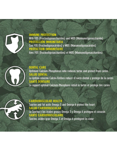 rquiVet Nourriture chat stérilisé saumon & riz 🐱 | Aliment complet premium naturel 1,5 kg & 7 kg