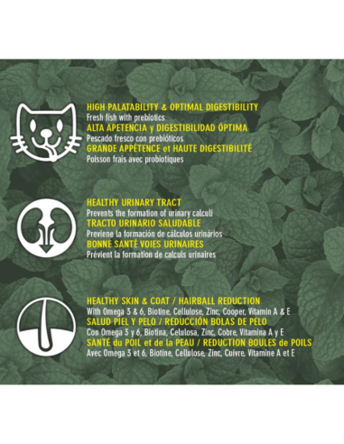 rquiVet Nourriture chat stérilisé saumon & riz 🐱 | Aliment complet premium naturel 1,5 kg & 7 kg