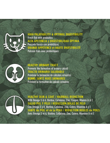 rquiVet Nourriture chat stérilisé saumon & riz 🐱 | Aliment complet premium naturel 1,5 kg & 7 kg