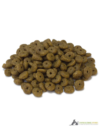 Original ArquiVet Nourriture chaton poulet & riz 🐱 – Aliment complet premium naturel