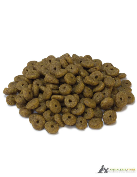 Original ArquiVet Nourriture chaton poulet & riz 🐱 – Aliment complet premium naturel