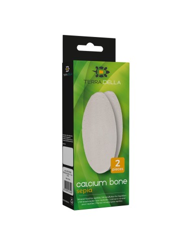 Calcium Bone Sepia Blanc 11 cm – Os de Seiche Calcium pour Tortues et Reptiles | Terra Della