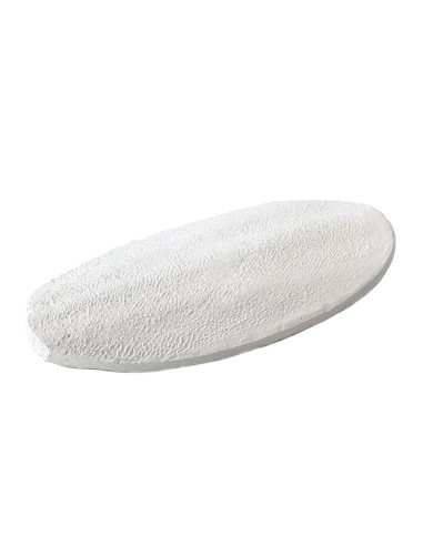 Calcium Bone Sepia Blanc 11 cm – Os de Seiche Calcium pour Tortues et Reptiles | Terra Della