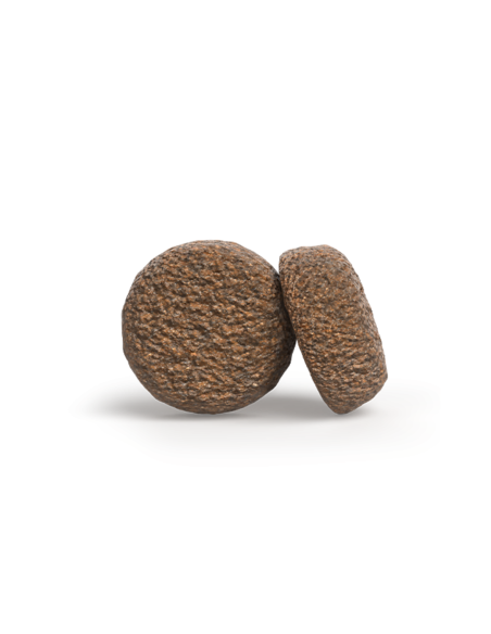 Croquettes JOSERA ACTIVE NATURE - sac de 12,5kg