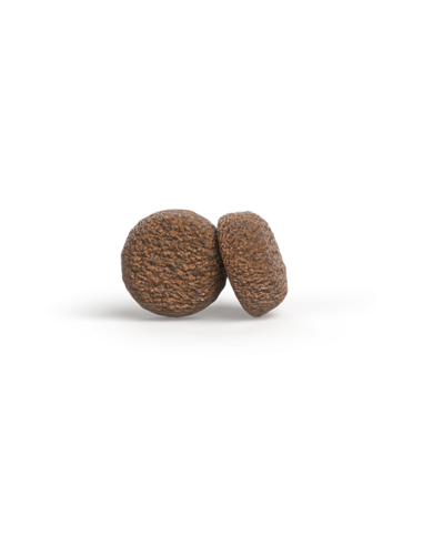 Croquettes JOSERA Medium Maxi Adult Chicken & Rice