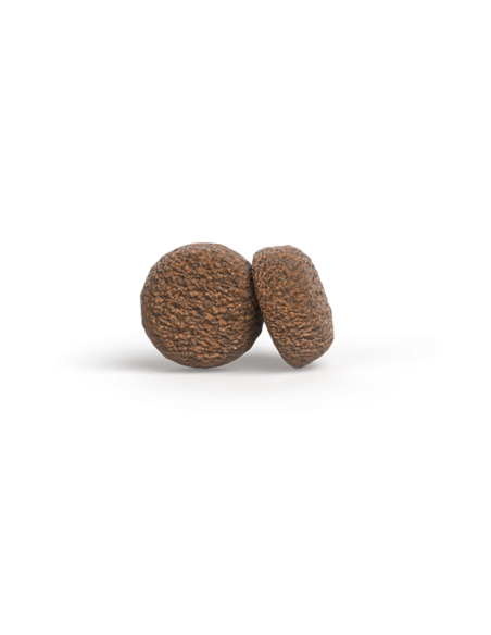 Croquettes JOSERA Medium Maxi Adult Chicken & Rice