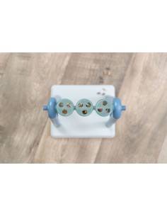 Jeu de réflexion Trixie Dog Turn Around