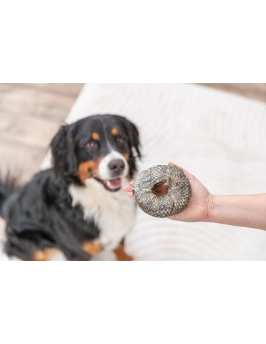 Friandise pour chien en forme de bague au poisson blanc