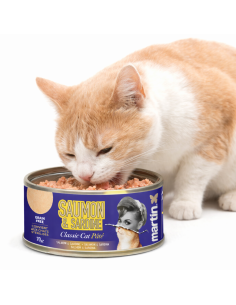 Pâtée chat saumon sardine sans céréales 70 g – Classic Cat Martin Sellier 2