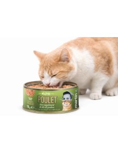 Nourriture humide Les Mijotés 😺 - MARTIN : poulet & jambon 🍗🥓, repas complet et savoureux 🌿, riche en protéines et vitamines