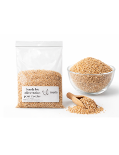 Son de blé pour insectes nourriciers – alimentation naturelle pour grillons, vers de farine et blattes