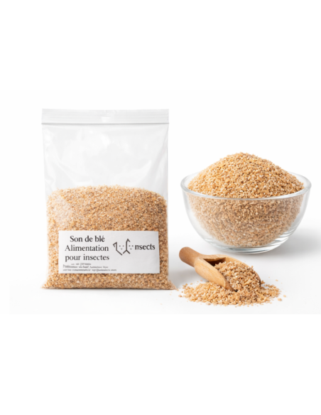 Son de blé pour insectes nourriciers – alimentation naturelle pour grillons, vers de farine et blattes