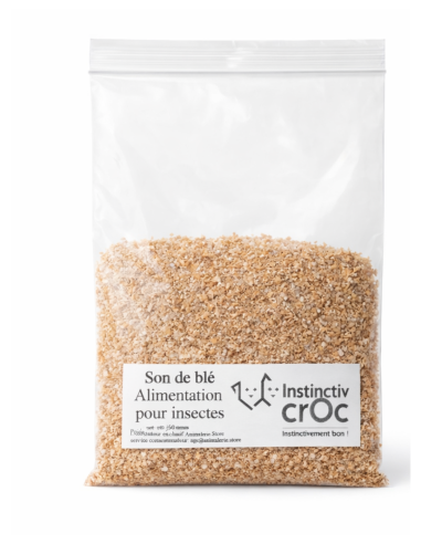 Son de blé pour insectes nourriciers – alimentation naturelle pour grillons, vers de farine et blattes