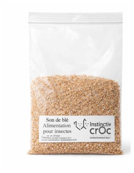 Son de blé pour insectes nourriciers – alimentation naturelle pour grillons, vers de farine et blattes