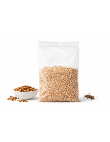 Son de blé pour insectes nourriciers – alimentation naturelle pour grillons, vers de farine et blattes