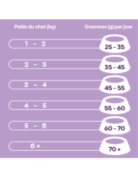 Croquettes chat Digestive Care Peptide+ – Digestion et confort intestinal