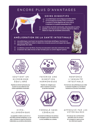 Croquettes chat Digestive Care Peptide+ – Digestion et confort intestinal