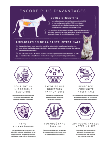Croquettes chat Digestive Care Peptide+ – Digestion et confort intestinal