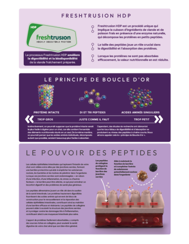 Croquettes chat Digestive Care Peptide+ – Digestion et confort intestinal