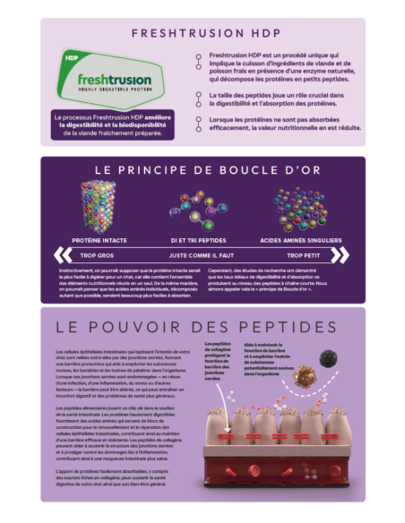 Croquettes chat Digestive Care Peptide+ – Digestion et confort intestinal