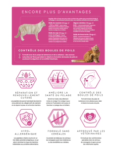 Croquettes Peptide+ Skin & Coat Care – Peau et Pelage Chat Adulte 2