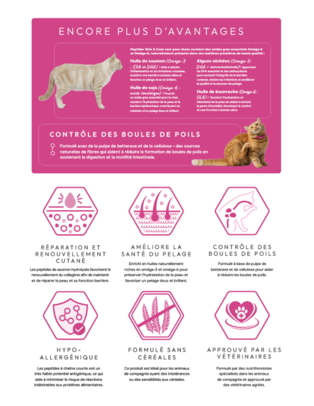 Croquettes Peptide+ Skin & Coat Care – Peau et Pelage Chat Adulte
