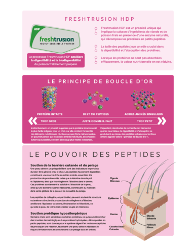 Croquettes Peptide+ Skin & Coat Care – Peau et Pelage Chat Adulte