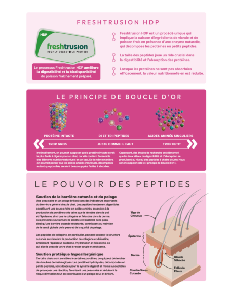 Croquettes Peptide+ Skin & Coat Care – Peau et Pelage Chat Adulte